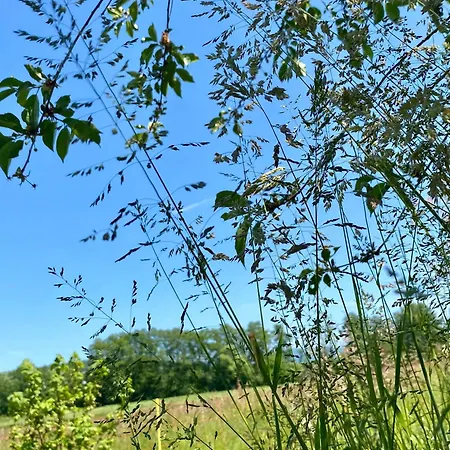 Rhoen Glueck - Mit Weitblick Eichenzell