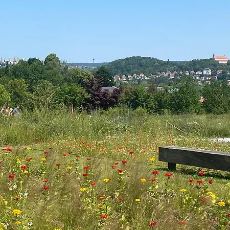 Rhoen Glueck - Mit Weitblick * Eichenzell