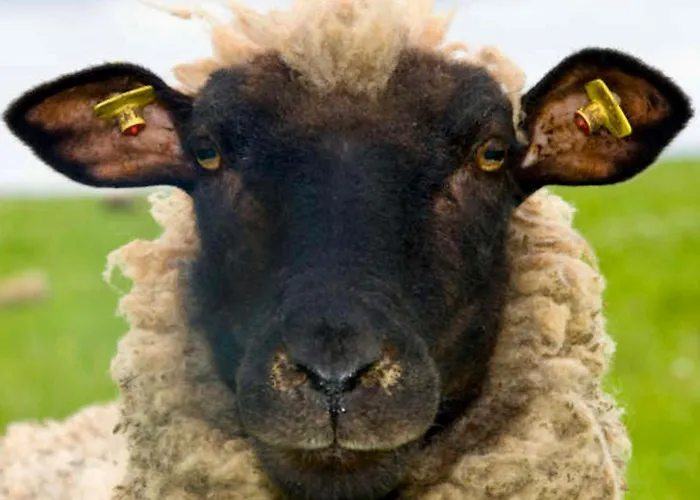 Rhoen Glueck - Mit Weitblick Lägenhet *