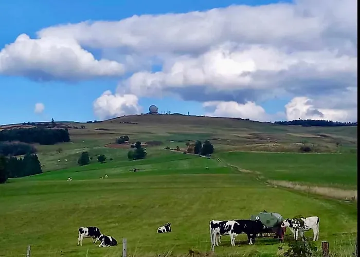 Lägenhet Rhoen Glueck - Mit Weitblick *